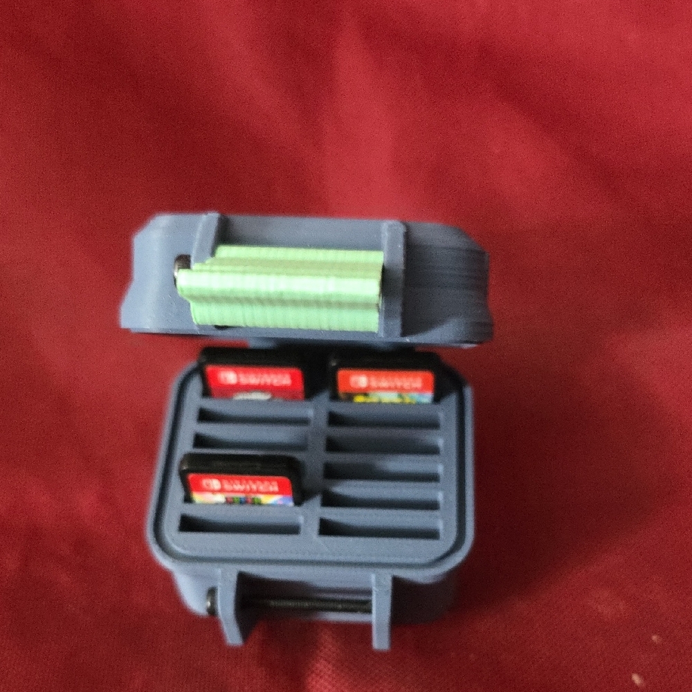 Gray Memory Card Holder with Green Interior
